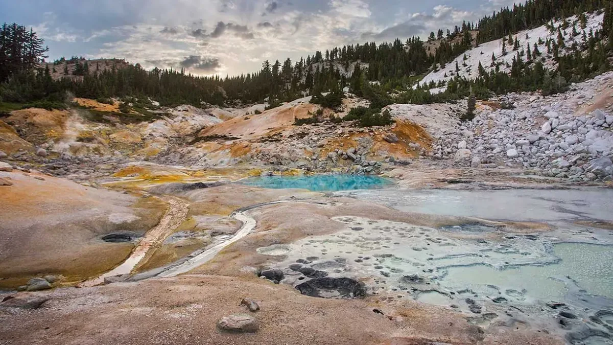 Amibe de feu : une microscopique survivante bat le record du monde de la chaleur