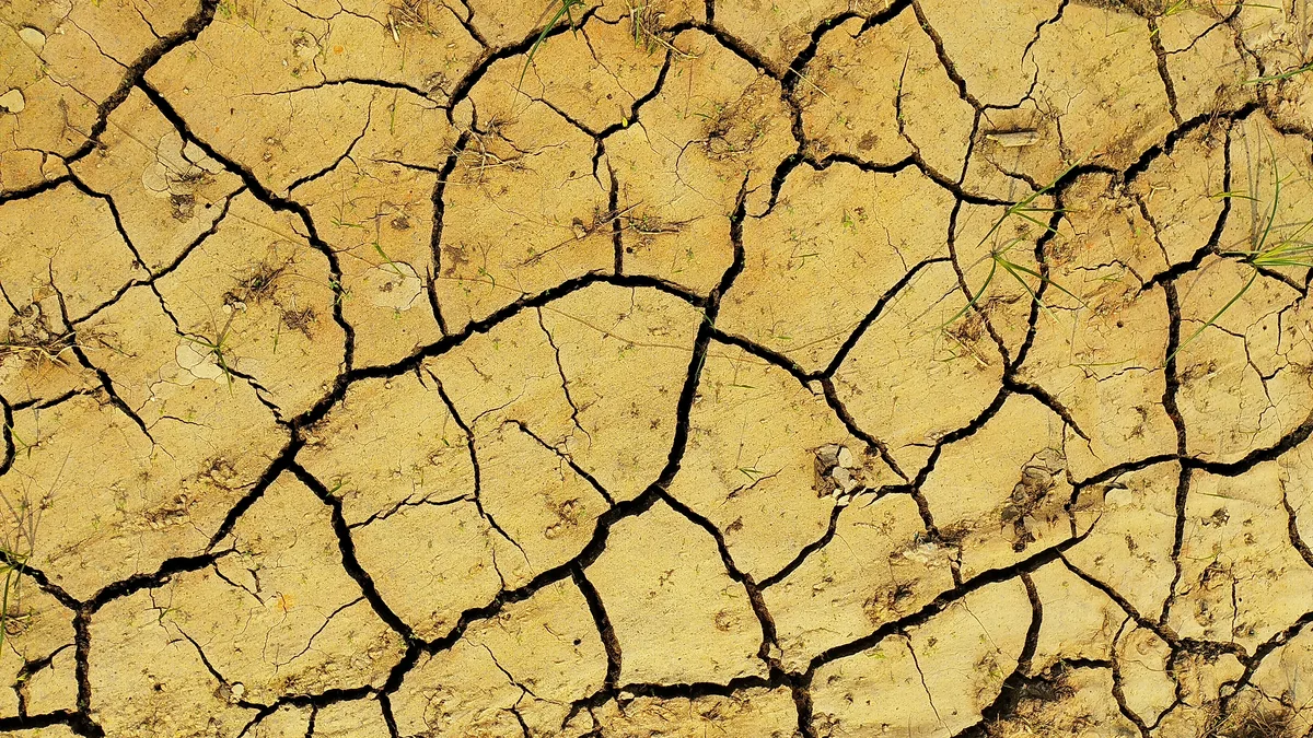 Climateflation : café +35 %, courgettes +30 %… le climat dicte vos courses