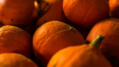Potimarron : comment le garder 6 mois sans qu'il pourrisse