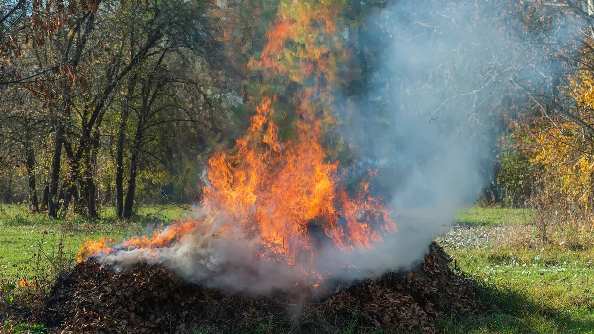 Feu de jardin avec de la fumée épaisse