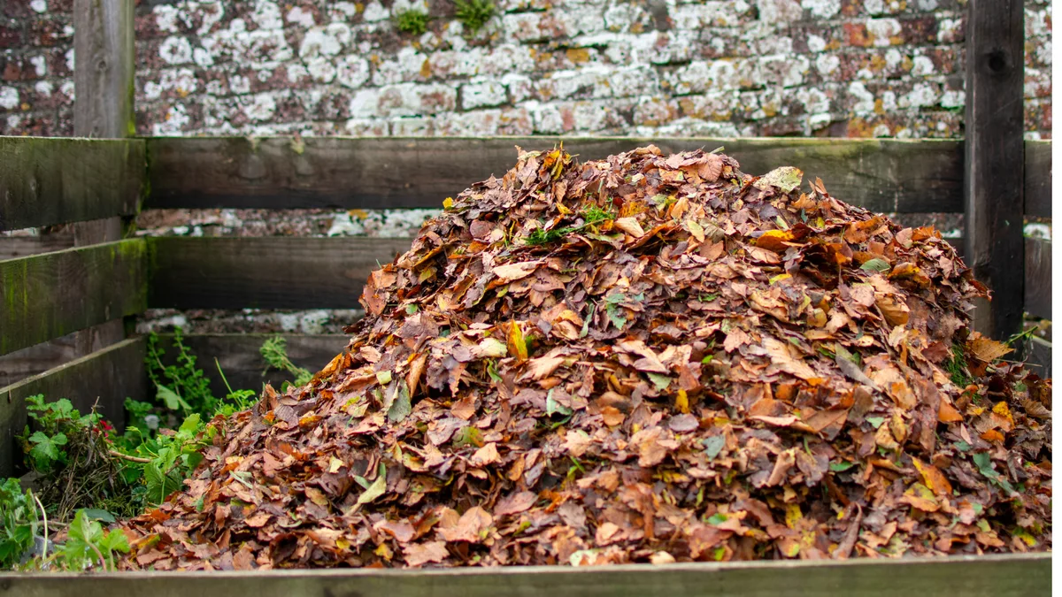 Compost rempli de feuilles mortes dans un jardin