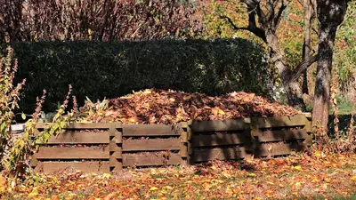 Feuilles mortes : ce geste d'automne qui coûte 750 € d'amende