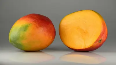 Mangue européenne : la saison se termine fin octobre, et vous passez peut-être à côté de la meilleure