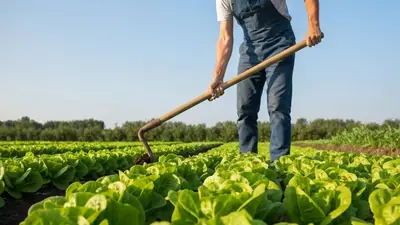 Santé : 3,5 millions de travailleurs exposés aux UV, le cancer de la peau bientôt reconnu ?