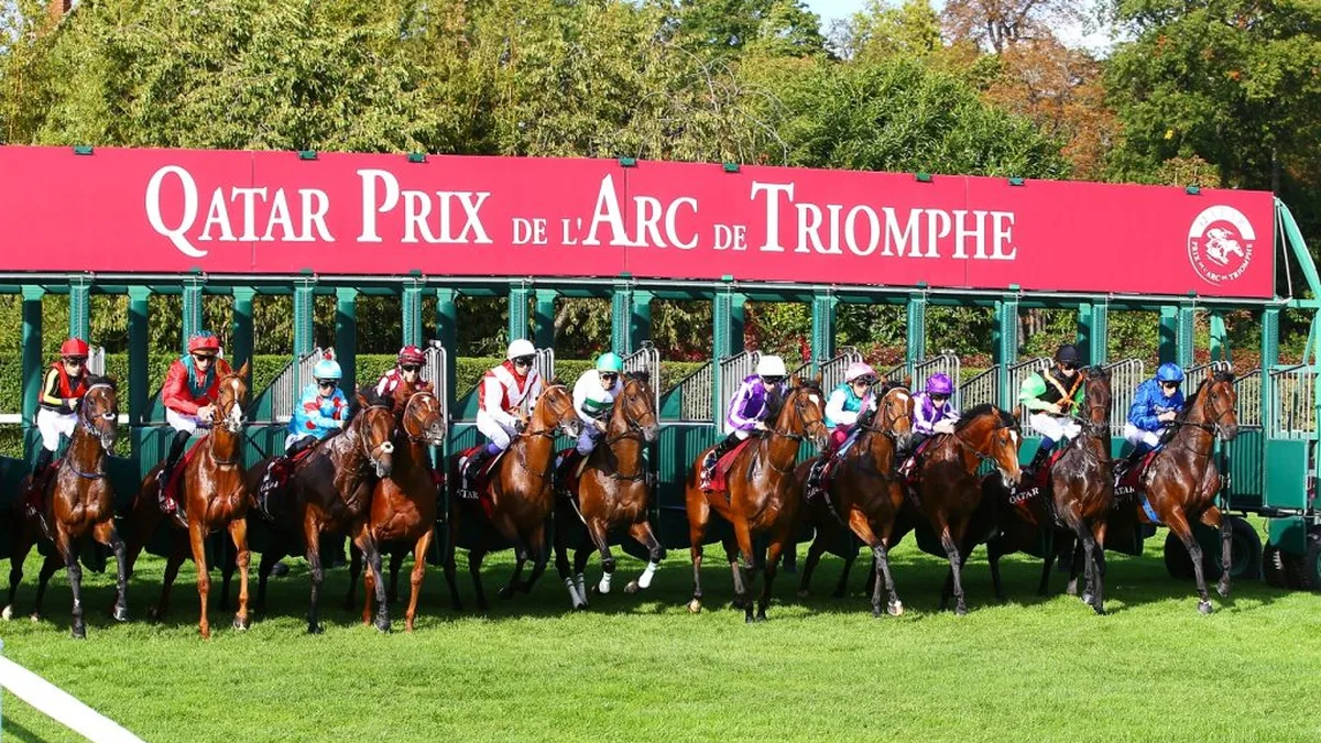 Les seize partants dans les stalles de départ du Qatar Prix de l&rsquo;Arc de Triomphe 2026