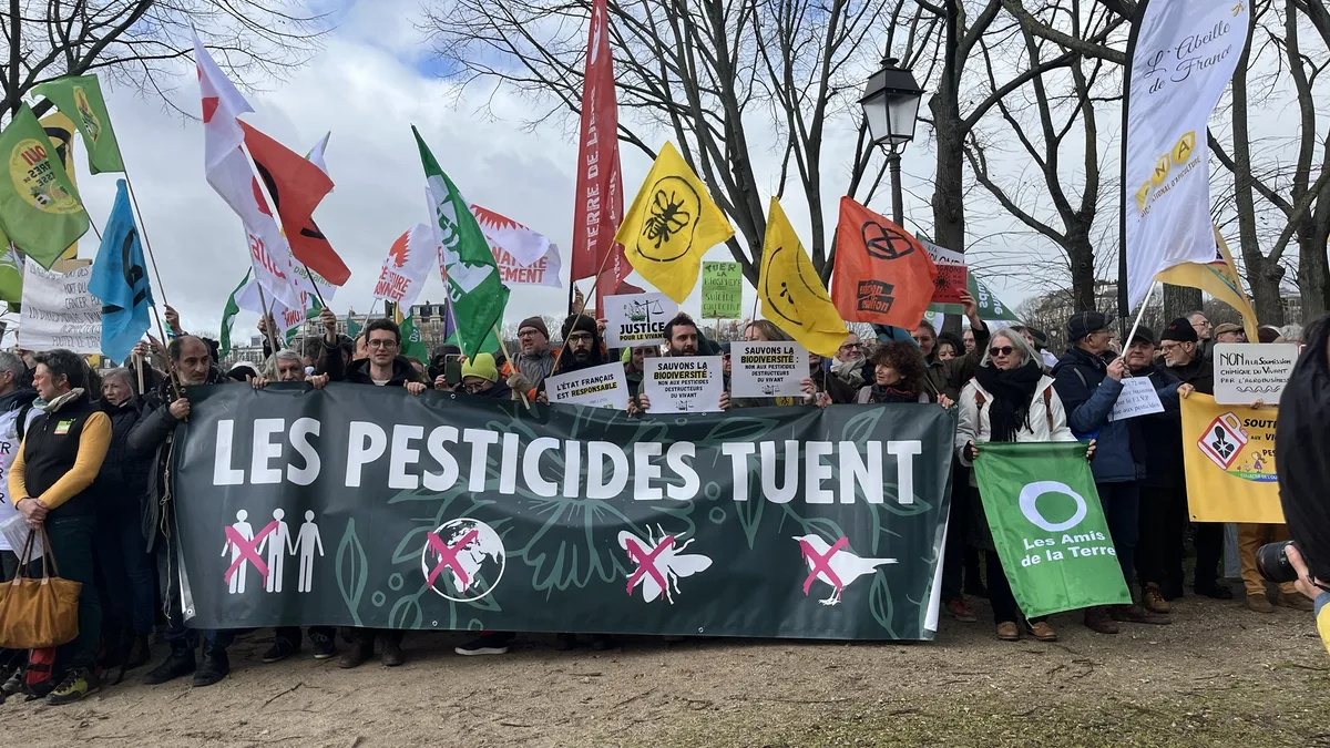 Des manifestants défilent contre les pesticides lors d&rsquo;une marche en France