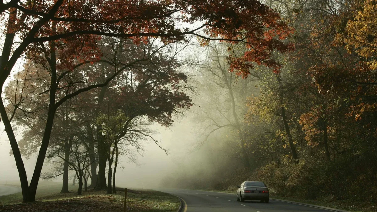 Une voiture sur une route dans le brouillard, au milieu des arbres aux couleurs d&rsquo;automne