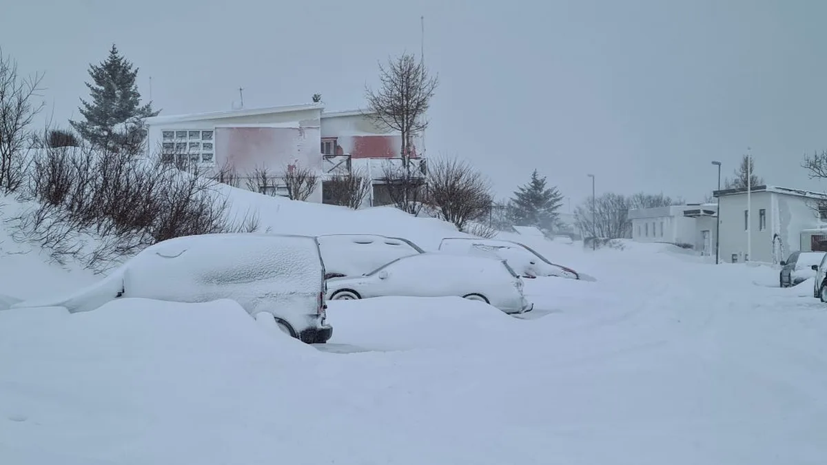 Tempête hivernale en Islande : rafales de neige sur une route côtière islandaise