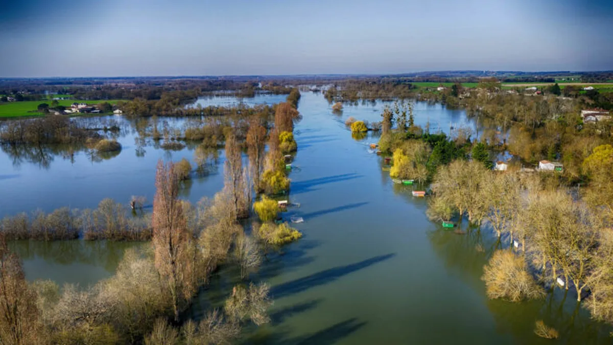 Des champs et des arbres sous les eaux après des pluies exceptionnelles