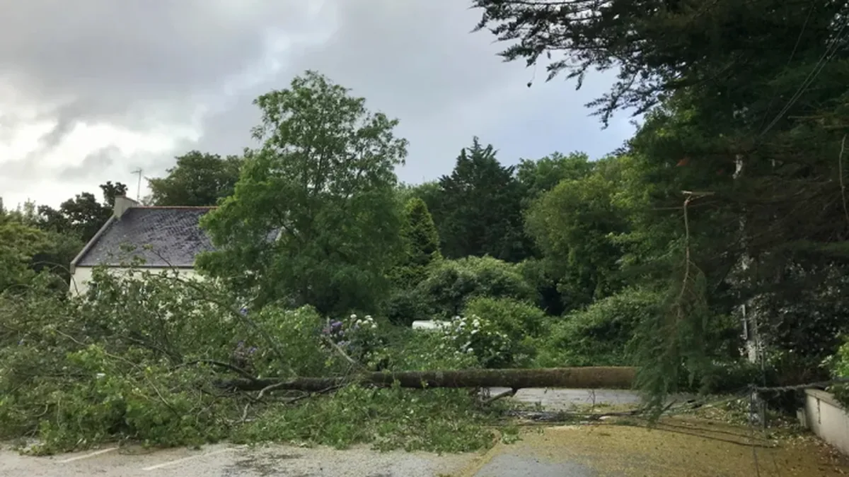 Un arbre tombé en travers d&rsquo;une route après le passage de la tempête, devant une maison