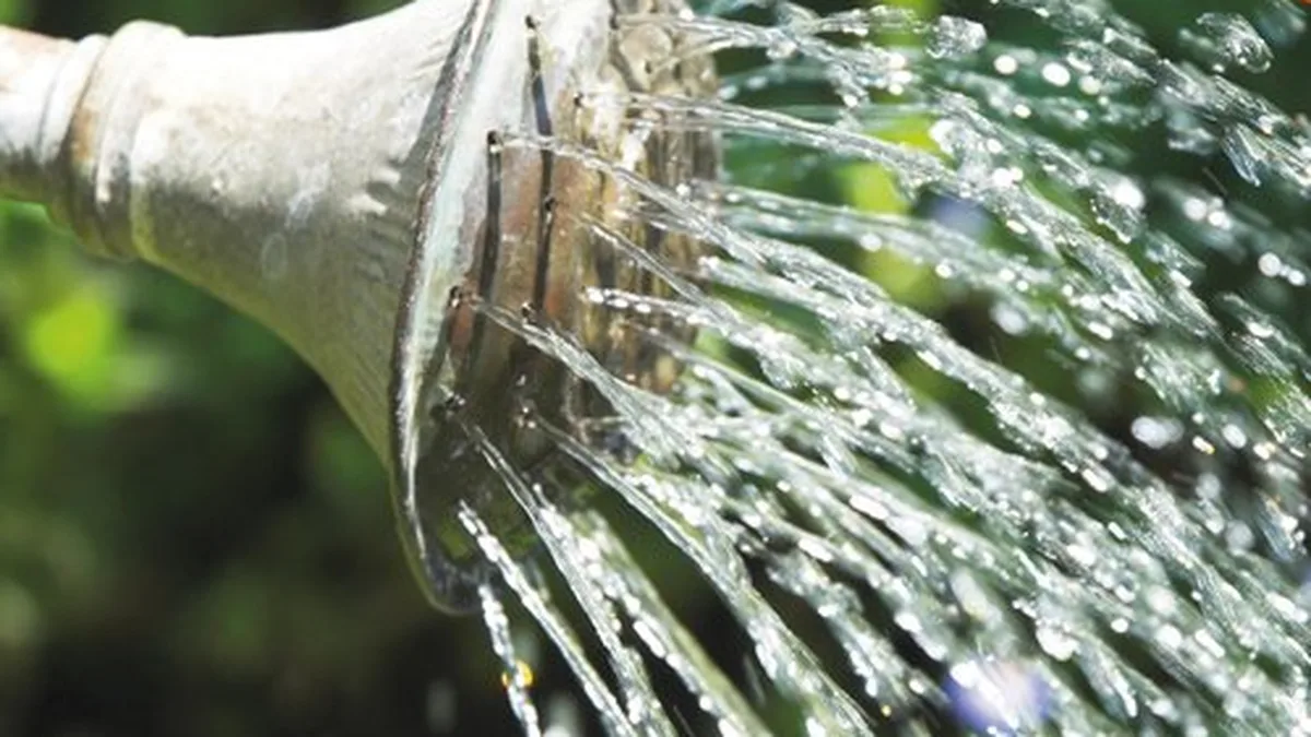 30 mm de pluie en 48 h : que faire au jardin après la grande lessive d'octobre