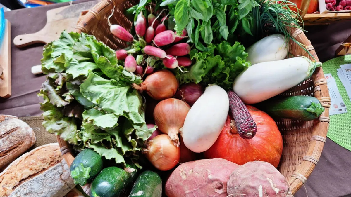 Panier de légumes de saison : salade, radis, oignons, courgettes et potimarron