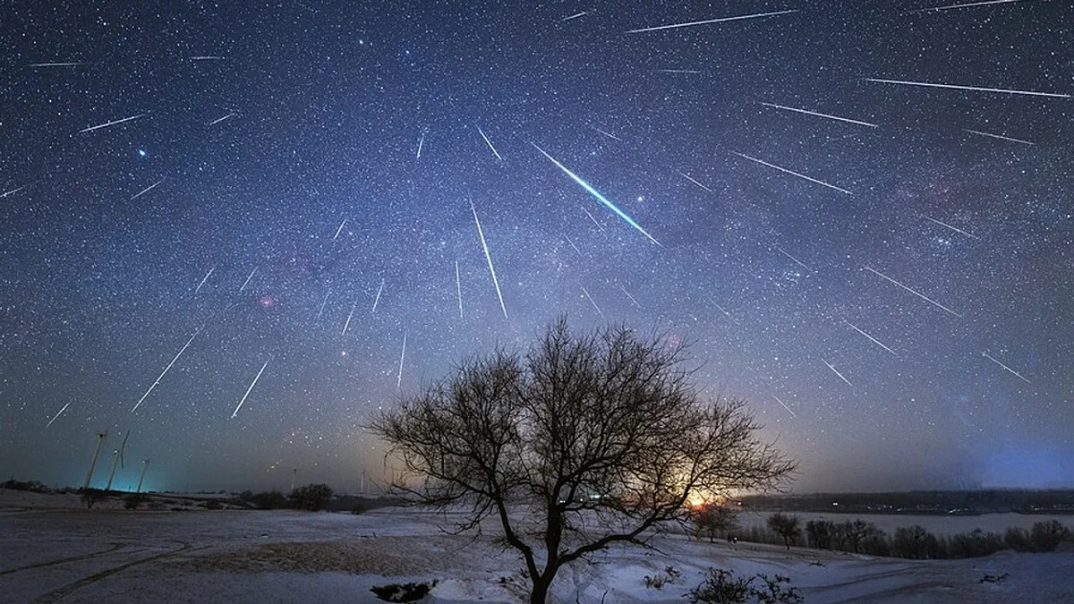 Une étoile filante traverse un ciel étoilé au-dessus d&rsquo;un arbre (photo d&rsquo;illustration)