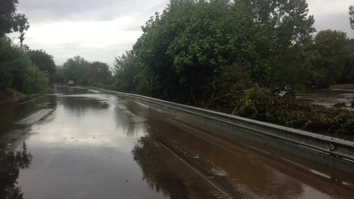 Route submergée bordée d&rsquo;arbres, l&rsquo;eau recouvre la chaussée